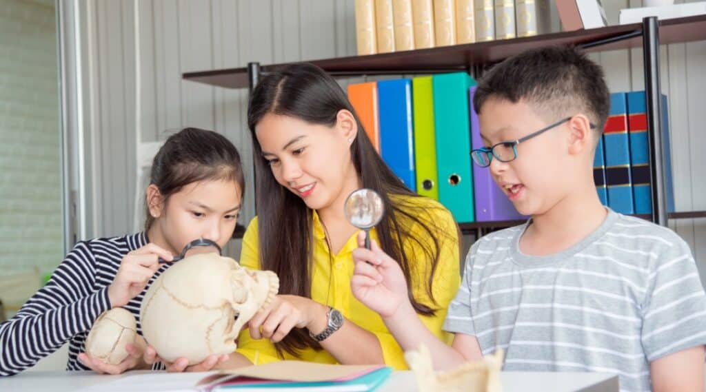 A Montessori teacher works with two elementary students to investigate the parts of a skull.