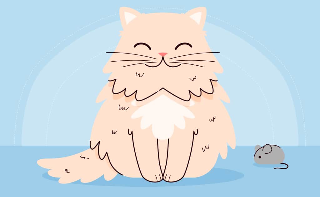 A fluffy cartoon cat; showing how to use parts of speech for kids.
