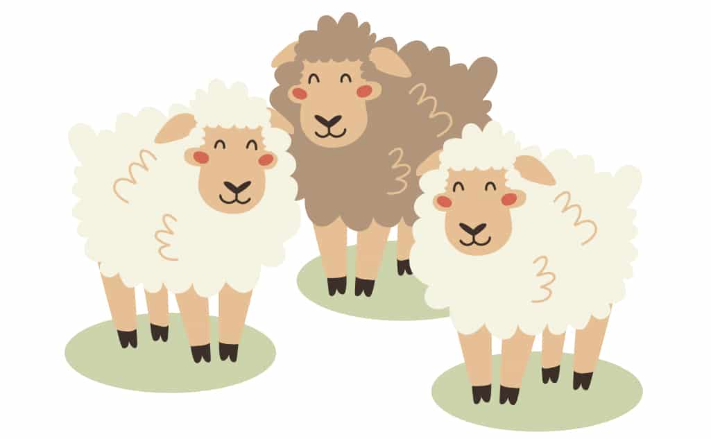A cartoon flock of sheep as an example of a collective noun. Showing how to use parts of speech for kids.