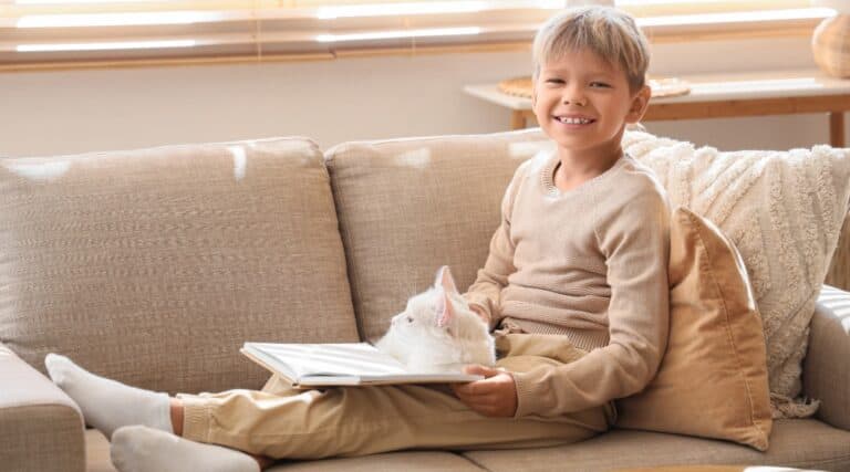 A 10 year old boy and his white cat sitting on a couch reading a cat book for kids.