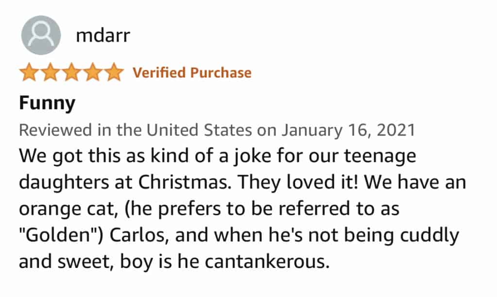 A glowing review for the picture book Carl the Cantankerous Cat.