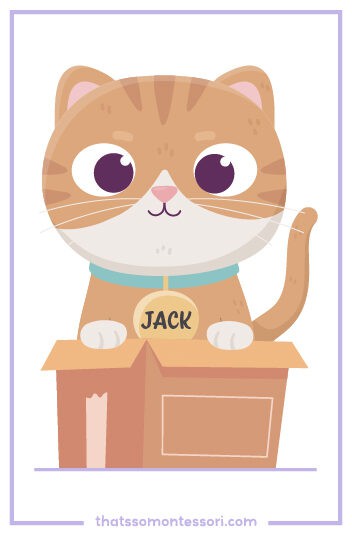 An example of an easy Rebus puzzle with answer included later on. There is a digital illustration of an orange tabby cat with a blue collar that has a yellow name tag hanging that reads 'Jack'. The cat is sitting in a brown cardboard box.