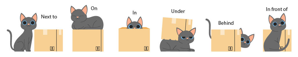 An graphic illustration of prepositions in action with a cat and a box demonstrating different prepositions. The cat is next to the box, the cat is inside the box, and the cat is even on top of the box. Knowing prepositions is helpful in solving rebus puzzles.