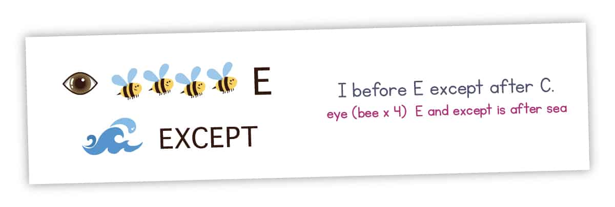 This tricky rebus puzzle shows and eye, four bees, a wave of water, and the word except. The answer 'I before e except after c' is excellent for a language lesson!