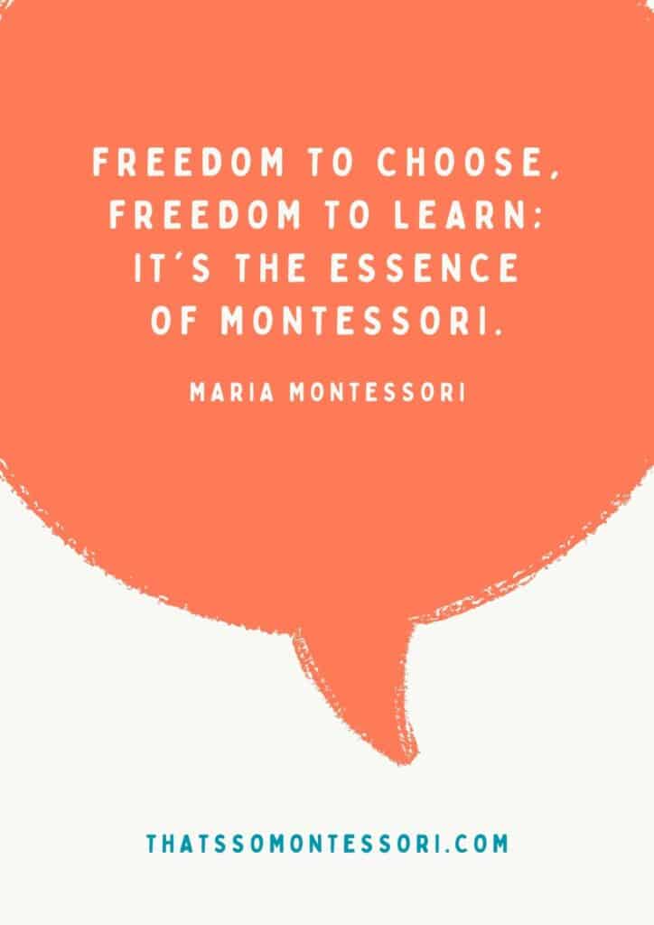 This Montessori quote sure sums up the philosohpy: "Freedom to choose, freedom to learn; it's the essence of Montessori."
