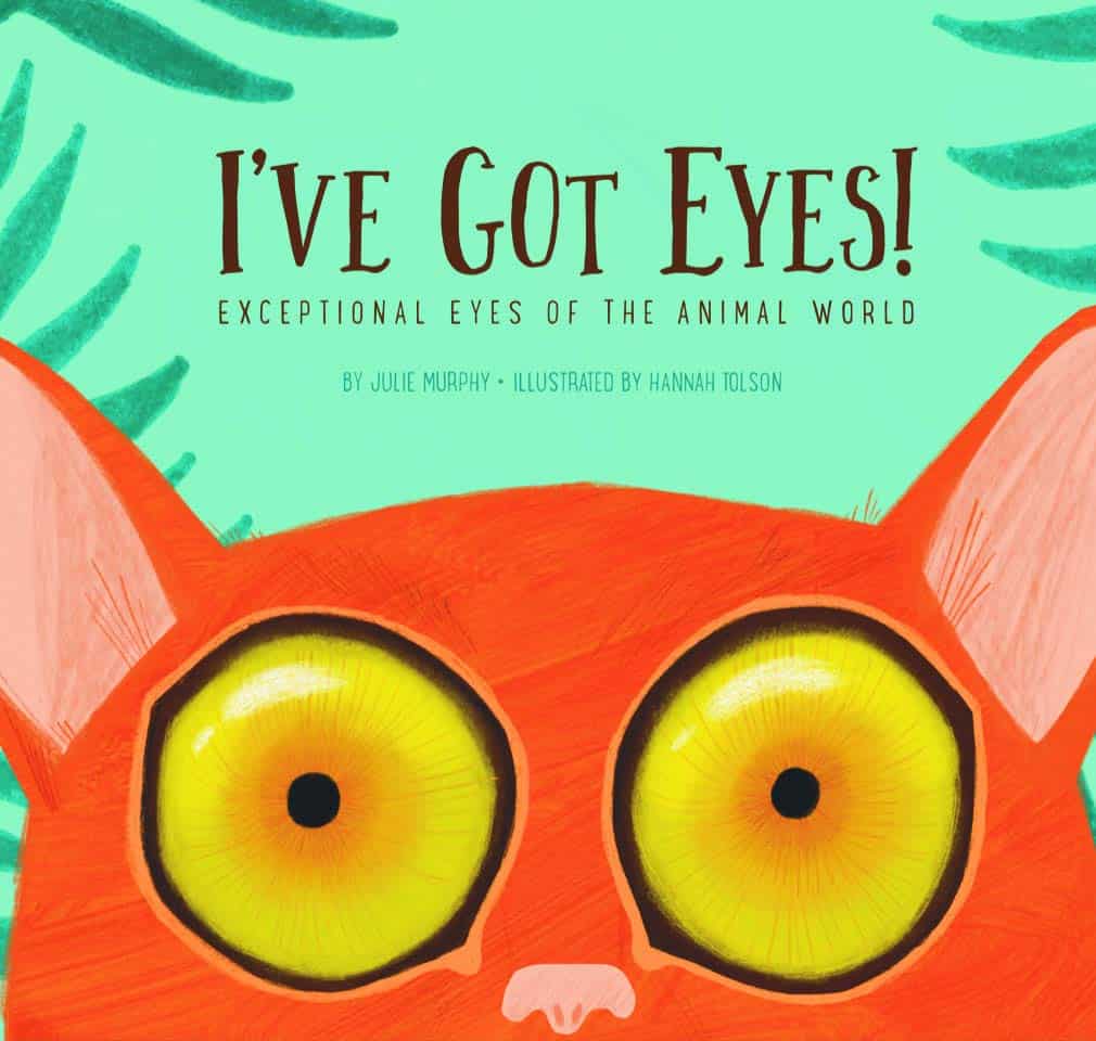 The picture book with rich vocabulary I've Got Eyes cover.