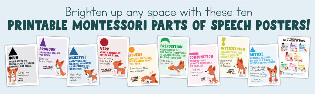 10 Montessori Parts of Speech Poster Advertisement