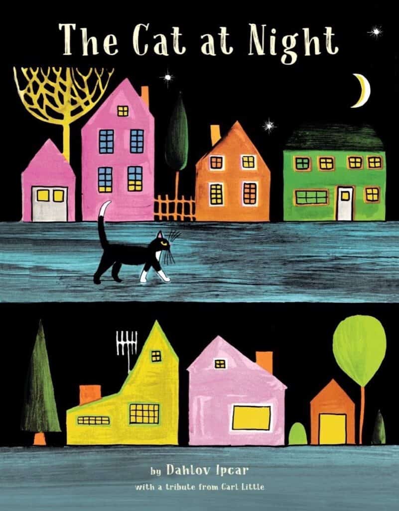A picture of the cover of 'The Cat at Night' which is one of the great cat books for kids.