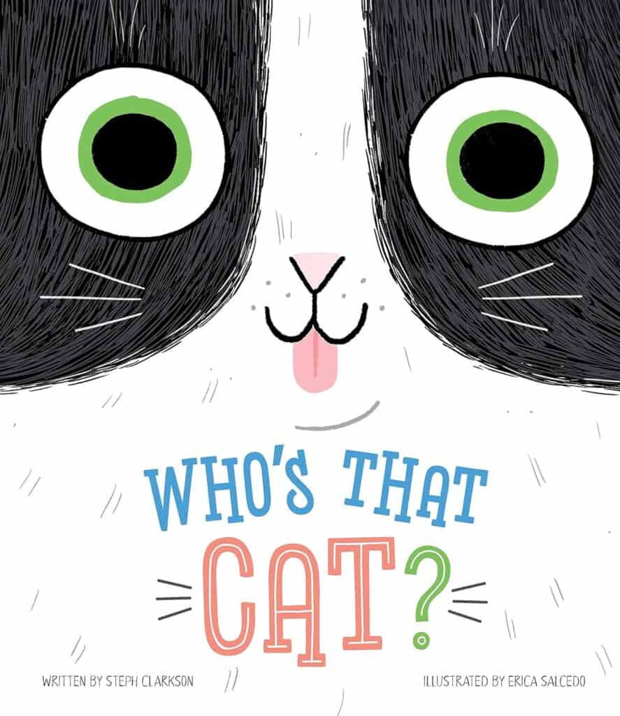 A picture of the cover of 'Who's That Cat' which is a cute cat book for kids.