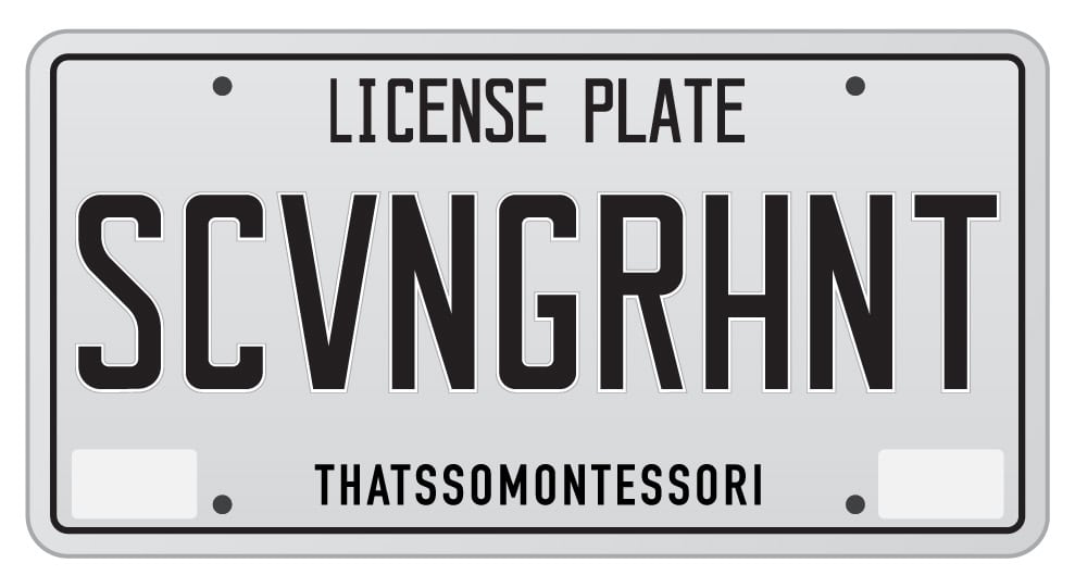 An image of a license plate with the letters SCVNGRHNT