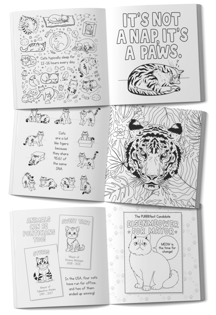 Three spreads from our amazing cat facts coloring book, advertising to readers that they can buy our cat facts coloring book.