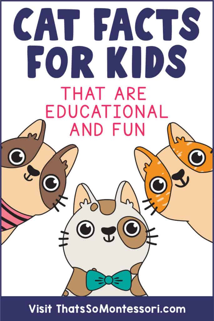 Three cute illustrated cats peeking in with text that reads Cat Facts For Kids That Are Educational And Fun