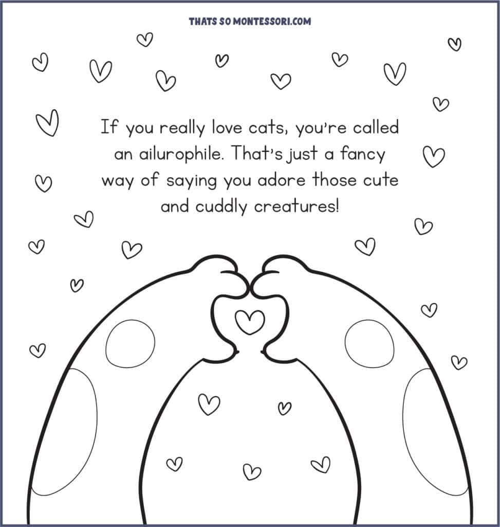 A cute illustration of a cat making a heart symbol with their paws with the cat fact for kids: If you really love cats you're called an ailurophile.