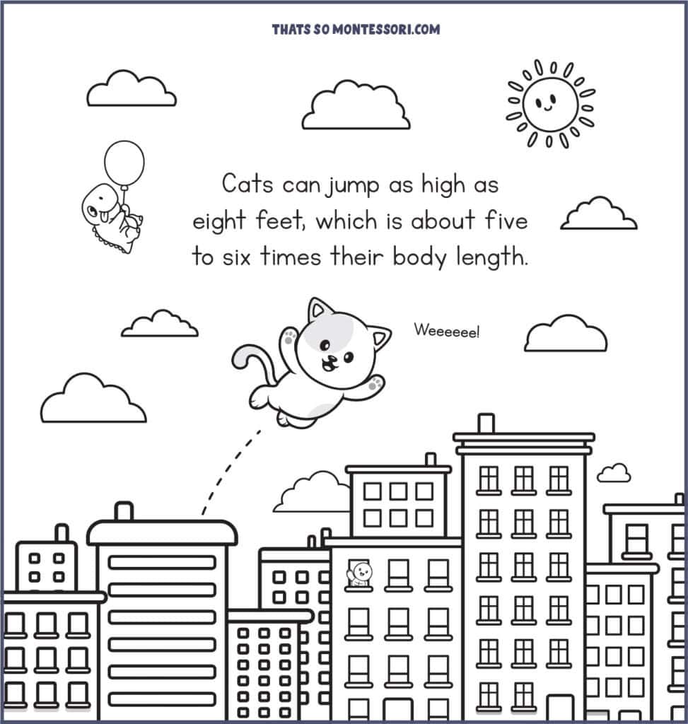 An illustration of a cat jumping really high with the cat facts for kids caption:
Cats can jump as high as eight feet, which is about five to six times their body length.