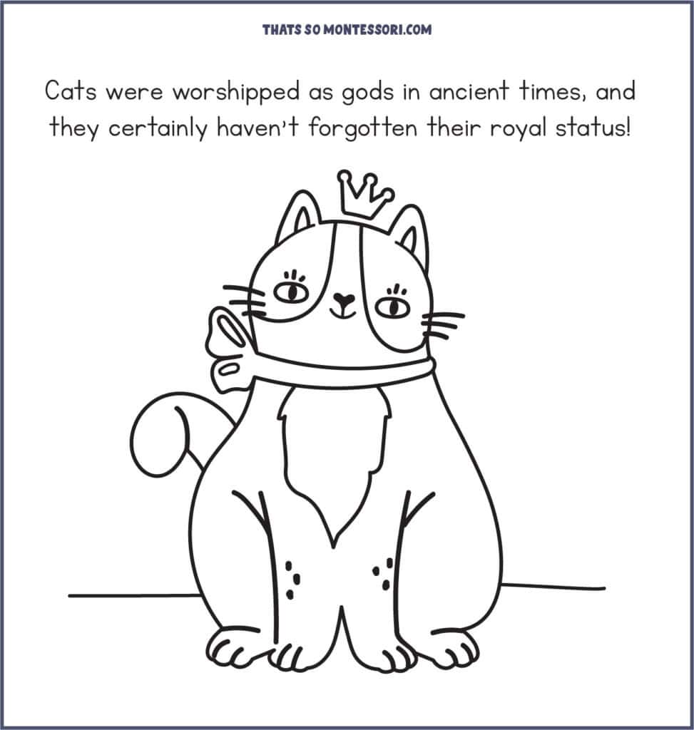 One of my favorite cat facts for kids: Cats were worshipped as gods in ancient times, and they certainly haven't forgotten their royal status!