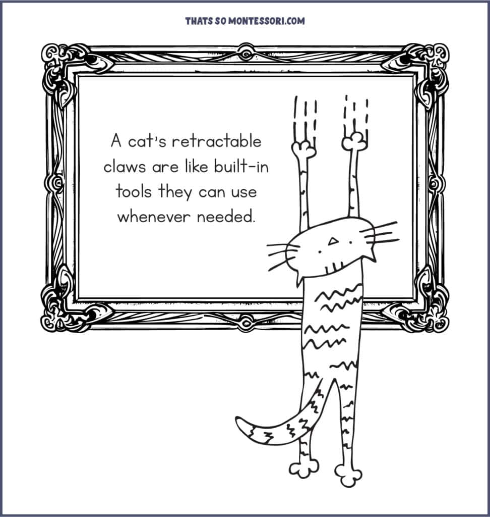 An illustration of a cat hanging from a picture frame with the cat fact for kids: A cat's retractable claws are like built-in tools they can use whenever needed.