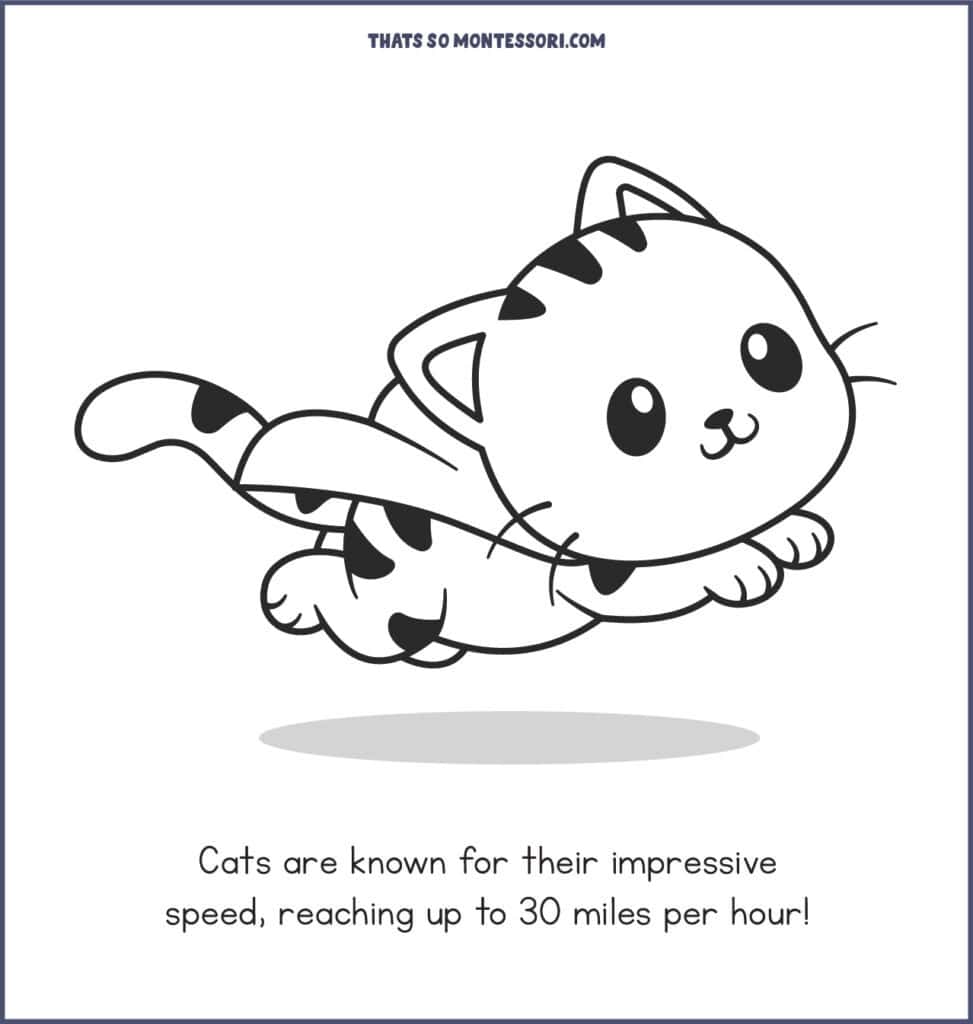 The cat fact for kids: Cats are known for their impressive speed, reaching up to 30 miles per hour!