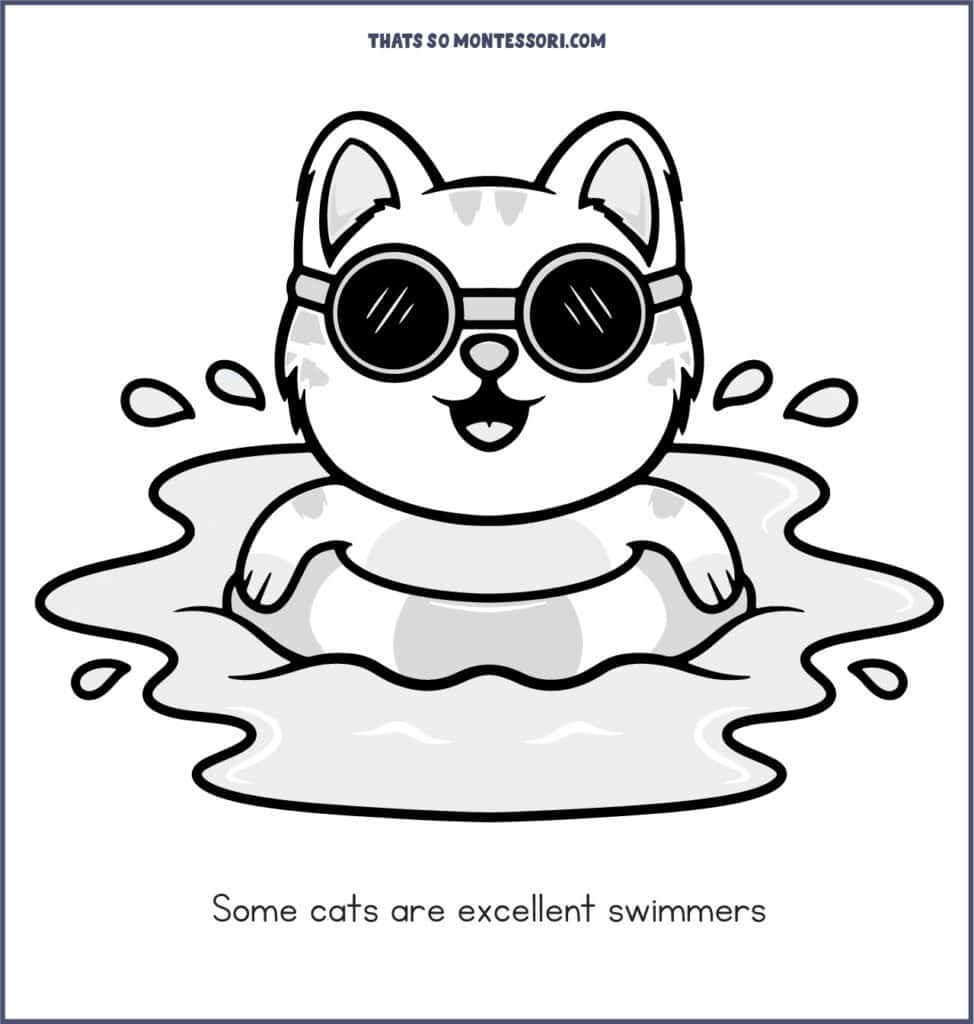 An illustration of a cat in a pool of water with goggles and a flotation device. The cat fact for kids reads: Some cats are excellent swimmers.