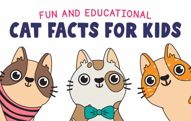 33 Cat Facts for Kids: Fascinating Insights about Felines