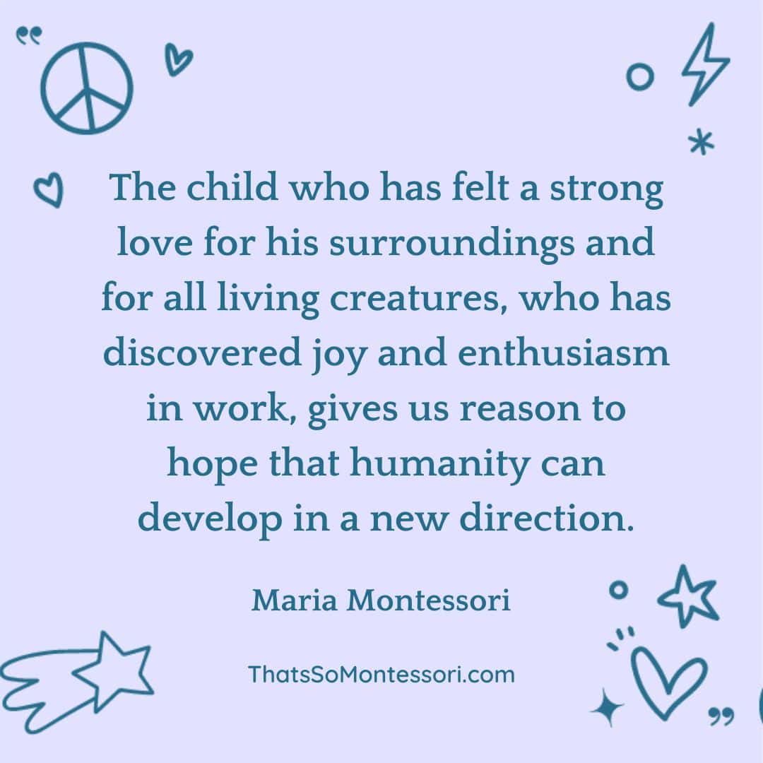 35 Montessori Quotes for Inspiring Peace - That's So Montessori