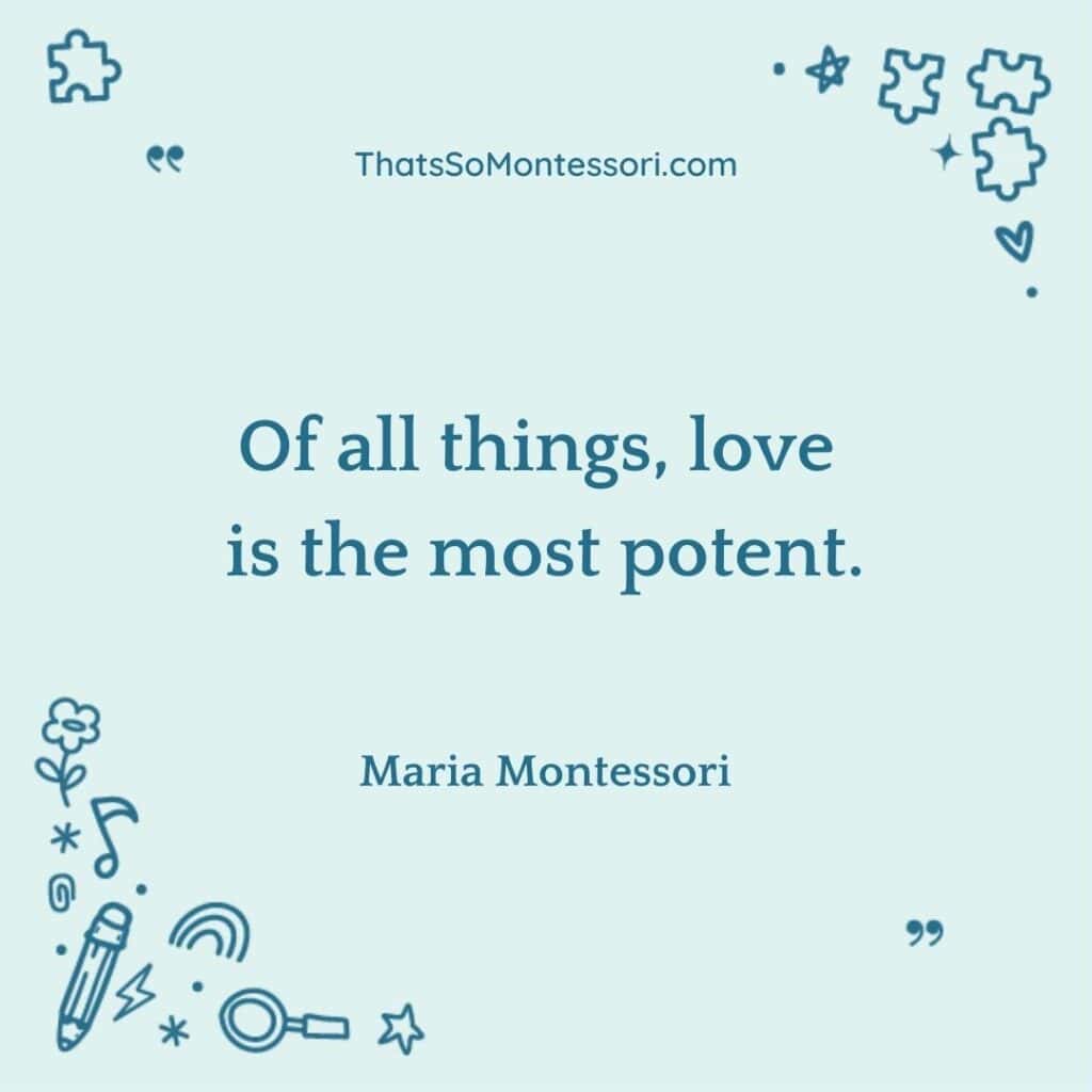 A short quote for students by Maria Montessori.