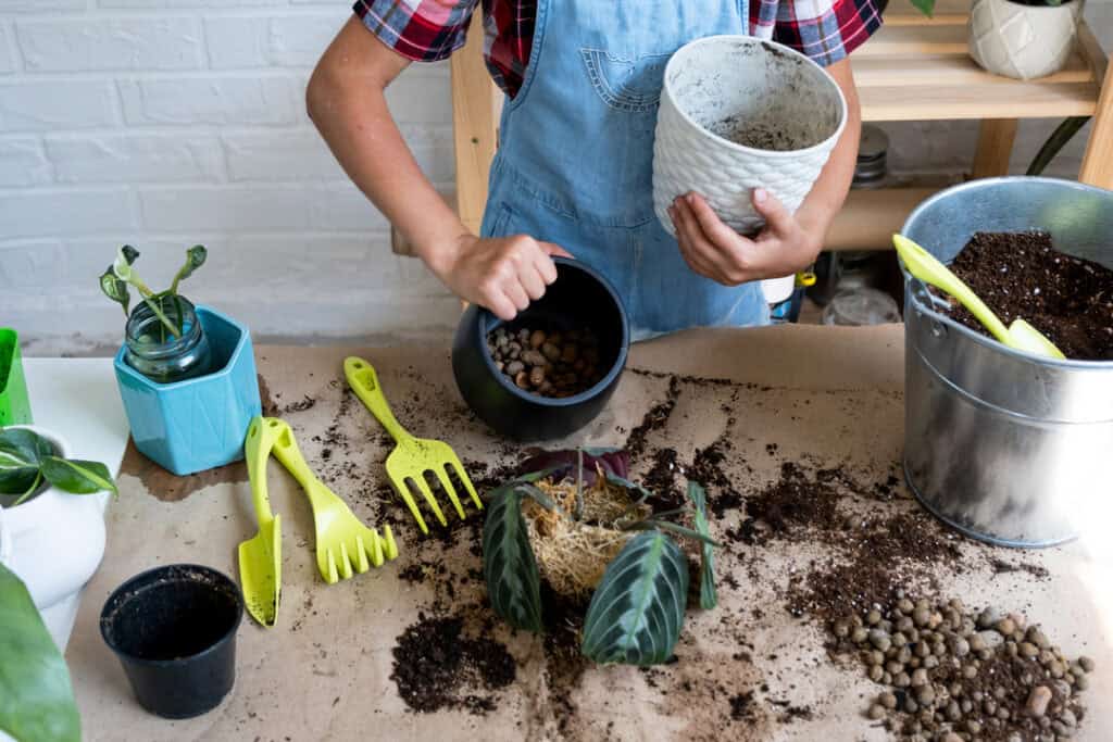 A young girl is pouring soil and getting her terrarium set up. This is one of the more hands-on elementary graduation gifts.