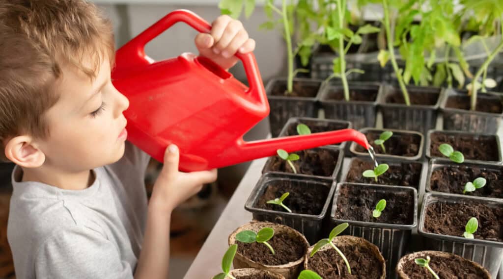 A young boy holding a red watering can. He is watering plants.