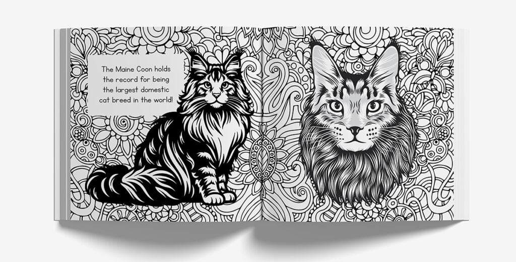 A spread of one of the pages of The Best Ever Cat Facts Coloring Book featuring a main cook cat.