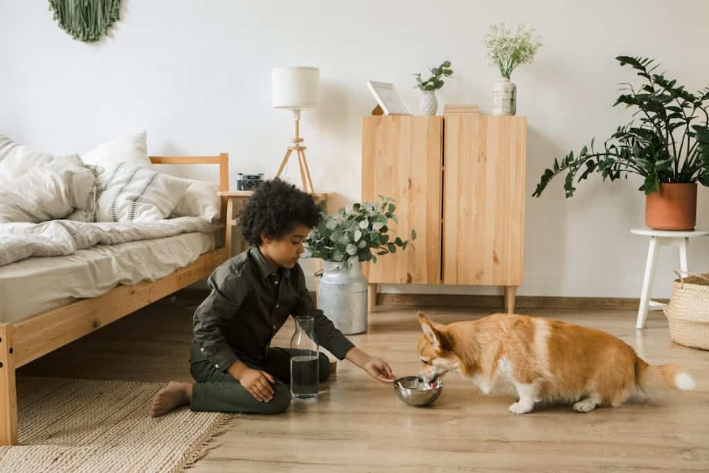 Child giving a dog water in a cozy bedroom with plants and natural decor. After reading about how to care for a pet he now has one.